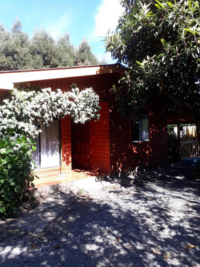 Cabana La Araucaria El Manzano  Exteriör bild